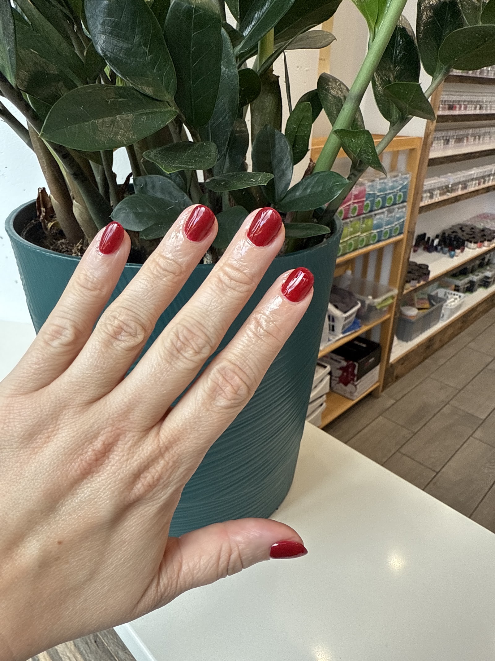 Vintage Nail Bar nail work in Charlotte, North Carolina
